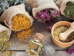 خدمات مشاوره‌ای و آموزشی